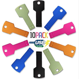 2GB USB Flash Drive 10 Pack, Key Model Flash Stick