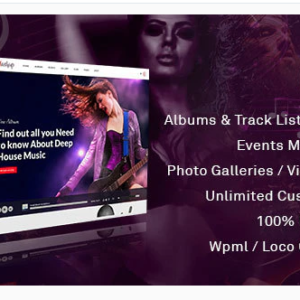 Professional DJ WordPress Theme